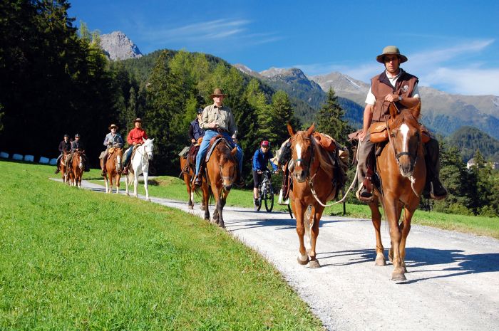 Panorama Trails through the Alps