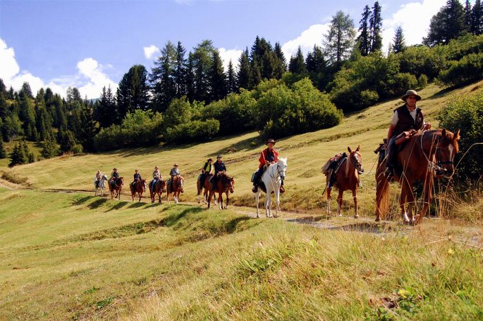Panorama Trails through the Alps