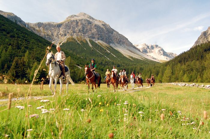 Panorama Trails through the Alps