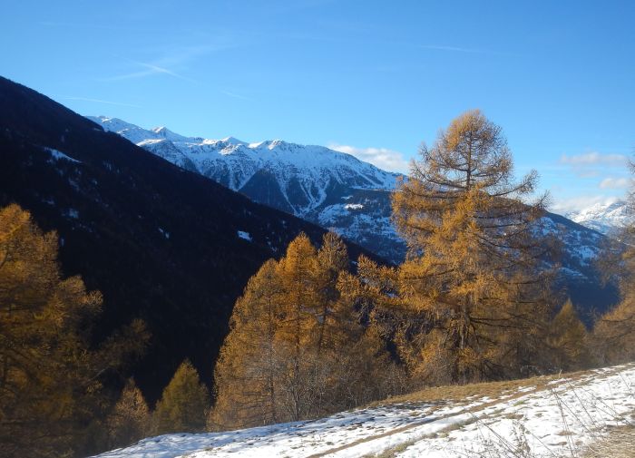 Panorama Trails through the Alps