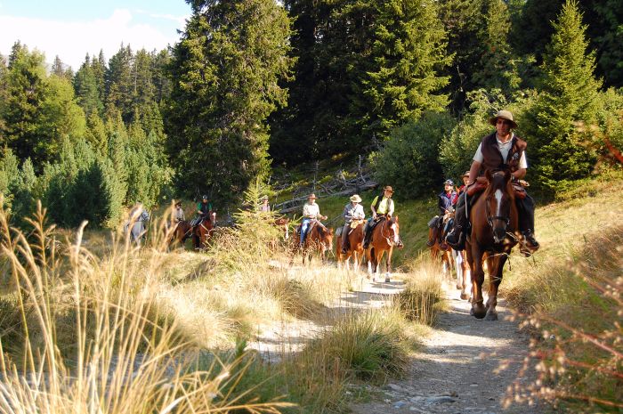 Panorama Trails through the Alps