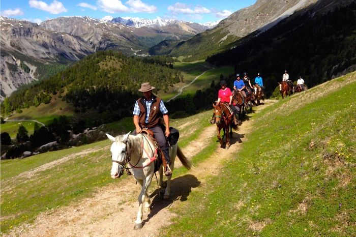 Panorama Trails through the Alps