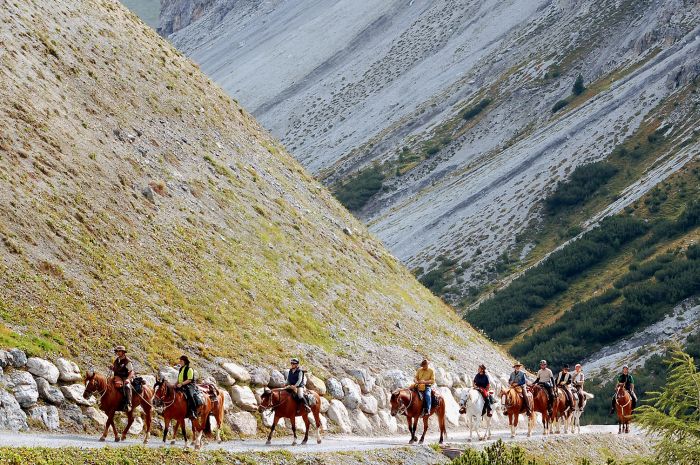 Panorama Trails through the Alps