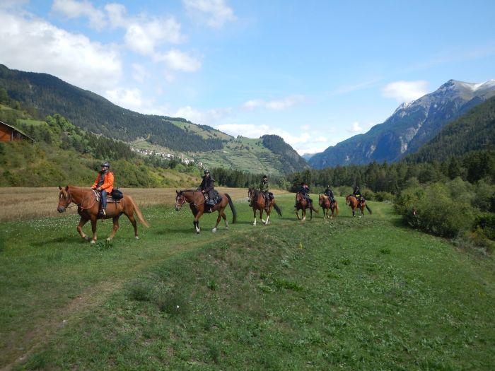 Panorama Trails through the Alps