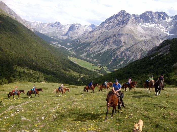 Panorama Trails through the Alps
