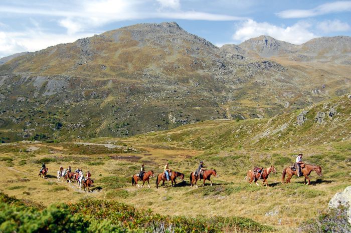 Panorama Trails through the Alps