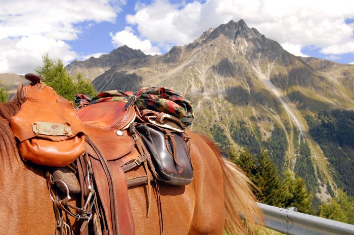 Panorama Trails through the Alps