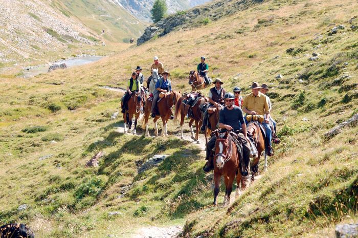 Panorama Trails through the Alps