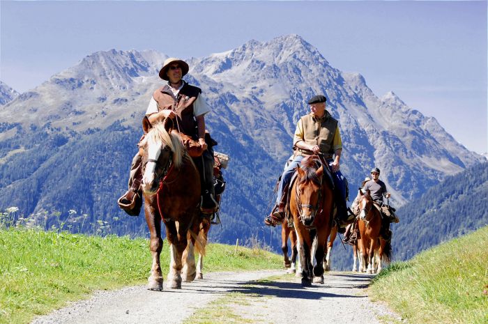 Panorama Trails through the Alps
