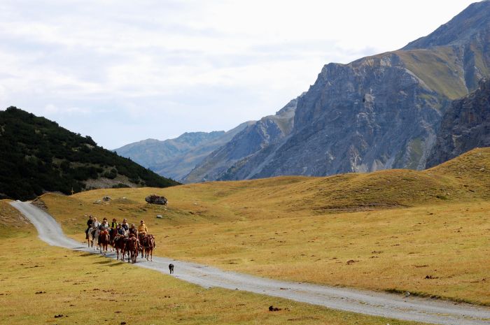 Panorama Trails through the Alps