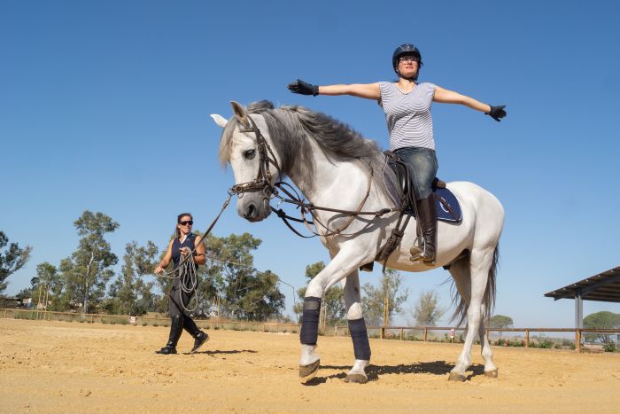 Intensive Dressage Program in Sevilla