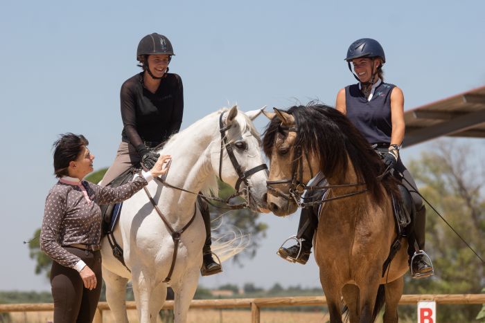 Intensive Dressage Program in Sevilla