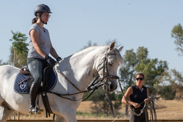 Intensive Dressage Program in Sevilla