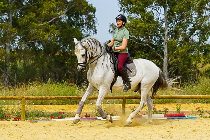 Intensive Dressage Program in Sevilla