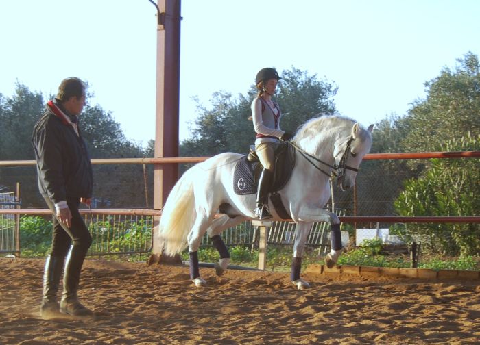 Intensive Dressage Program in Sevilla