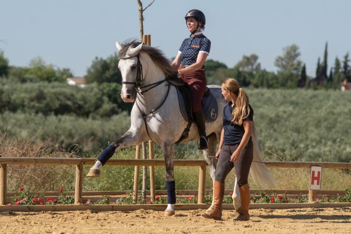Intensive Dressage Program in Sevilla