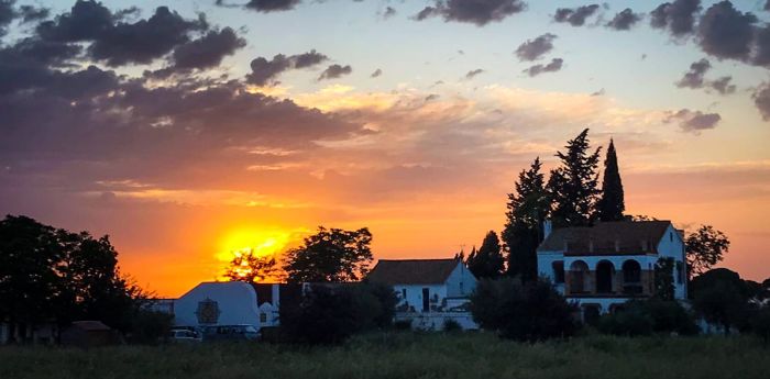 Intensive Dressage Program in Sevilla