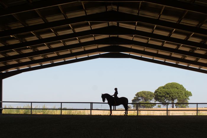 Intensive Dressage Program in Sevilla