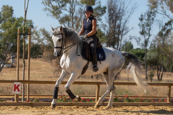 Intensive Dressage Program in Sevilla