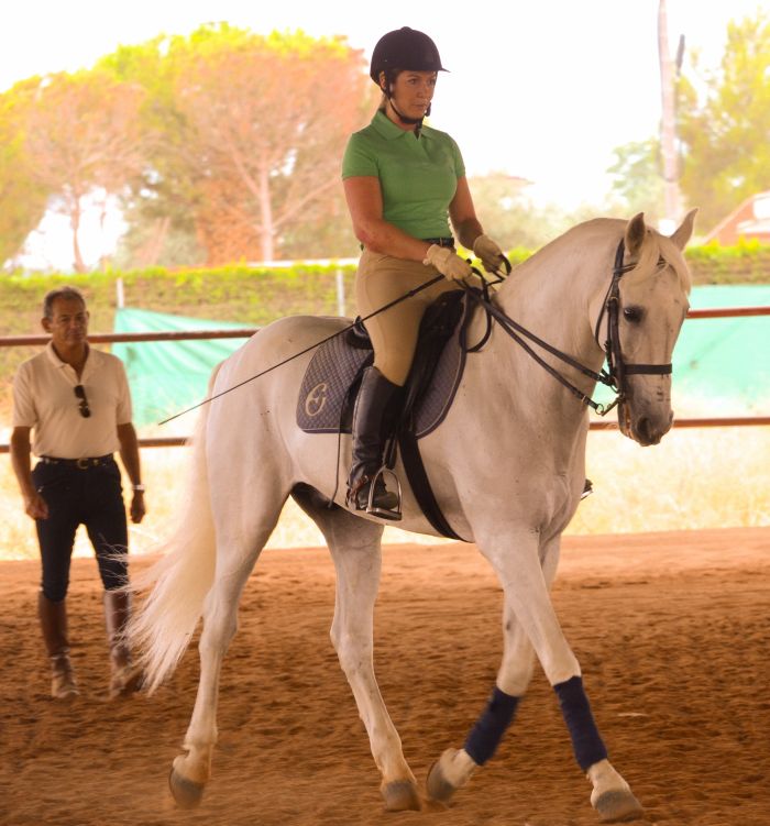 Intensive Dressage Program in Sevilla