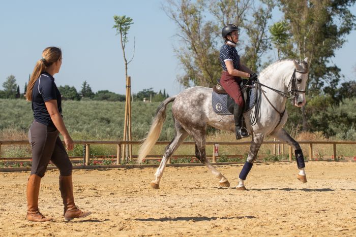 Dressage & Trailrides Sevilla