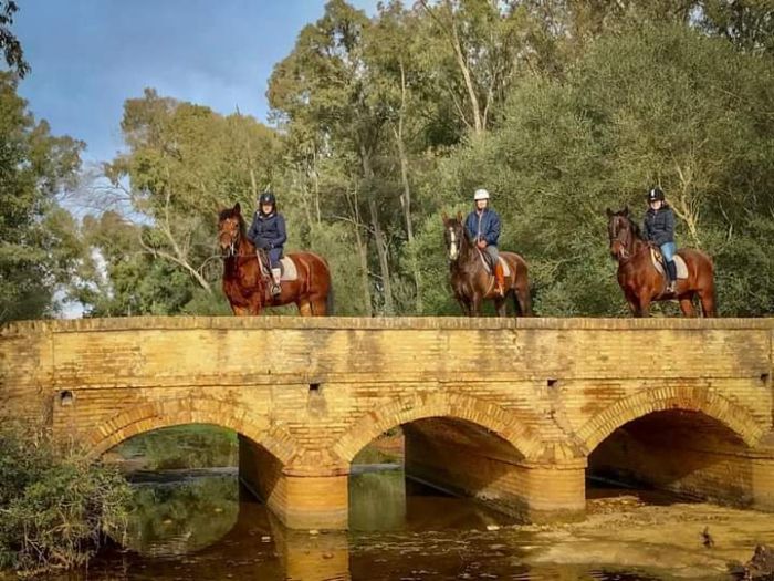 Dressage & Trailrides Sevilla
