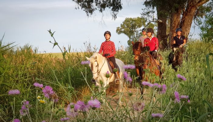 Dressage & Trailrides Sevilla