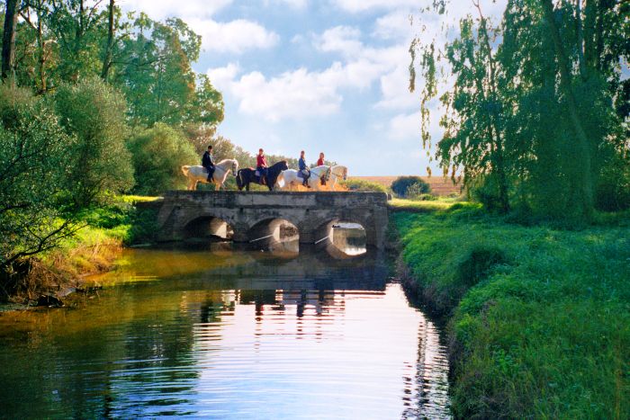 Dressage & Trailrides Sevilla