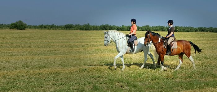 Dressage & Trailrides Sevilla