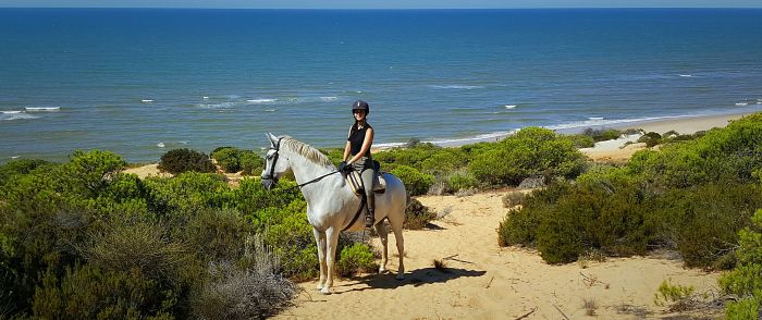Dressage & Trailrides Sevilla