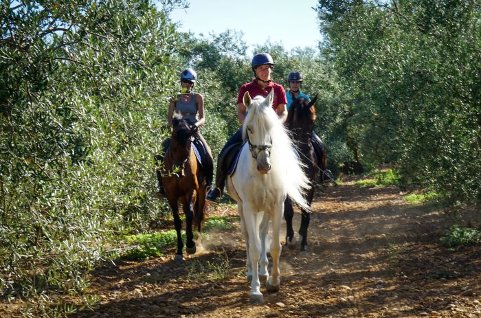 Dressage & Trailrides Sevilla