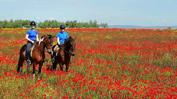 Dressage & Trailrides Sevilla