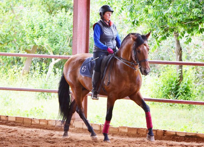 Dressage & Trailrides Sevilla