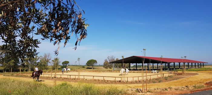 Dressage & Trailrides Sevilla