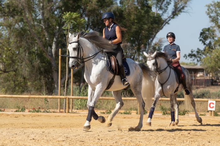 Dressage & Trailrides Sevilla