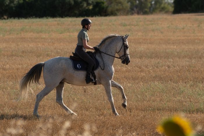 Dressage & Trailrides Sevilla