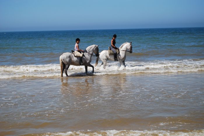 Dressage & Trailrides Sevilla