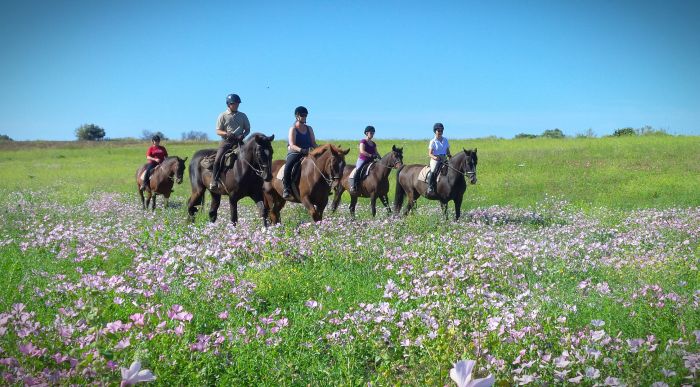 Dressage & Trailrides Sevilla