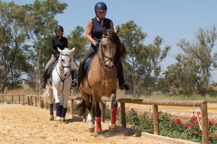 Dressage & Trailrides Sevilla