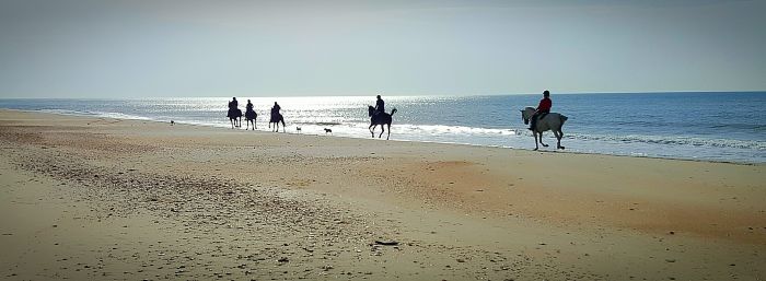 Dressage & Trailrides Sevilla