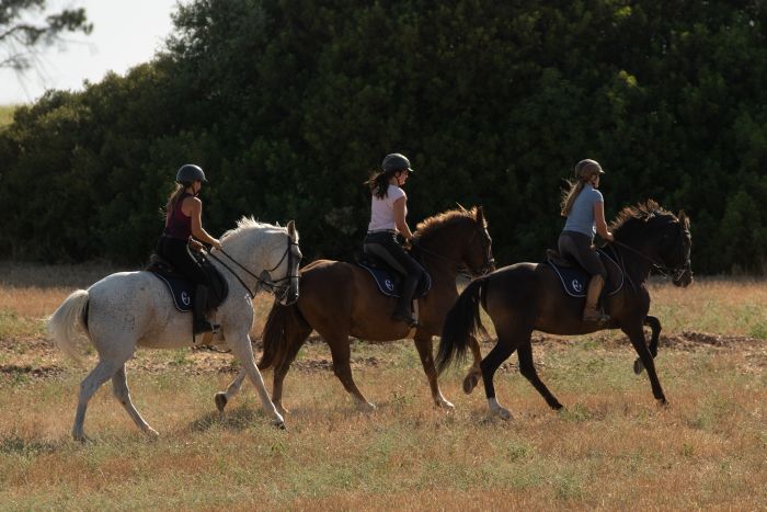 Dressage & Trailrides Sevilla