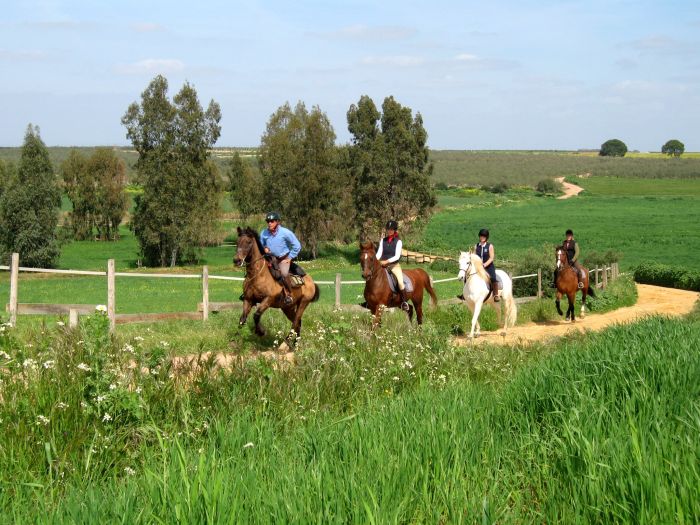 Dressage & Trailrides Sevilla