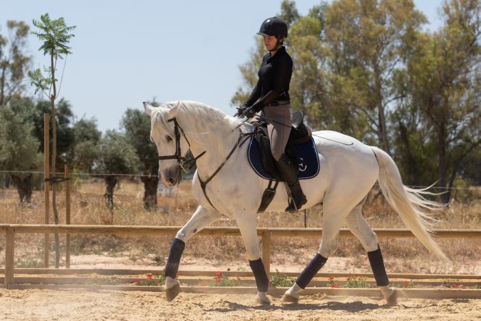 Dressage & Trailrides Sevilla