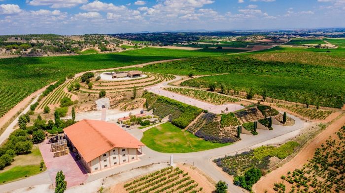 Ruta del Vino