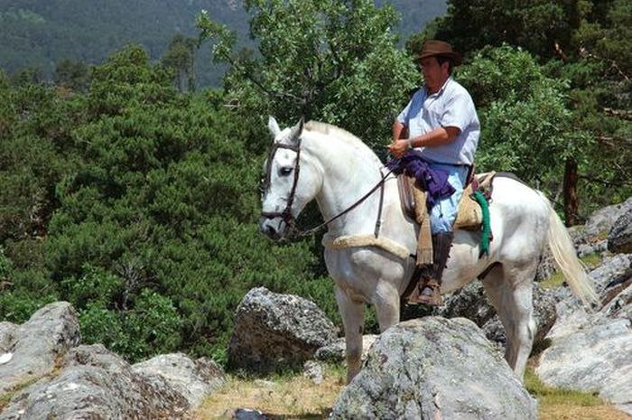 Lebaniego pilgrimage ride in the green north of Galicia