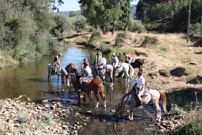 Lebaniego pilgrimage ride in the green north of Galicia