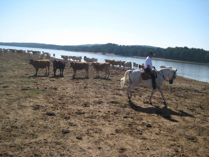 Lebaniego pilgrimage ride in the green north of Galicia
